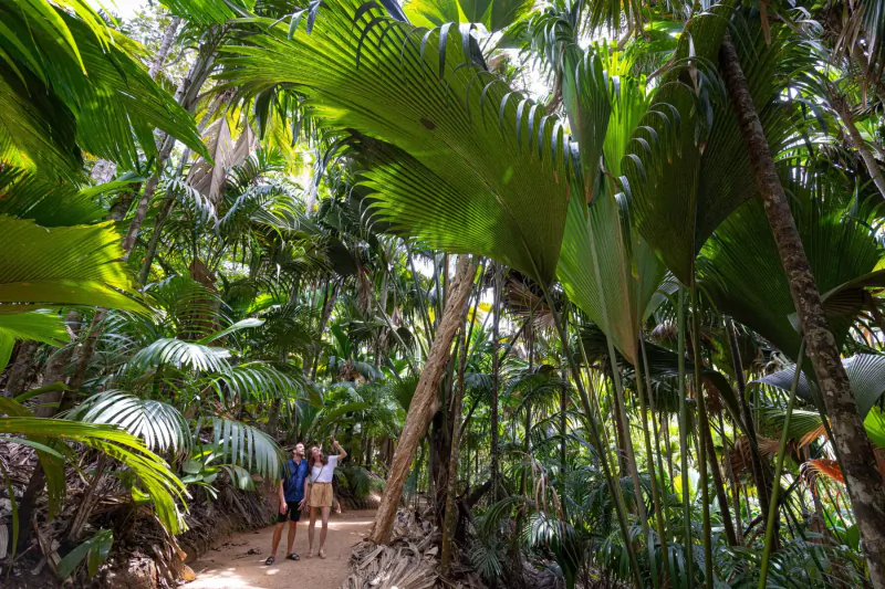 Couple walking hand-in-hand on a dirt path through lush tropical rainforest at La Cigale Estate, Seychelles