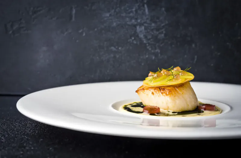 Seared scallop with yellow potato topping, herbs, and sauce on white plate against dark backdrop