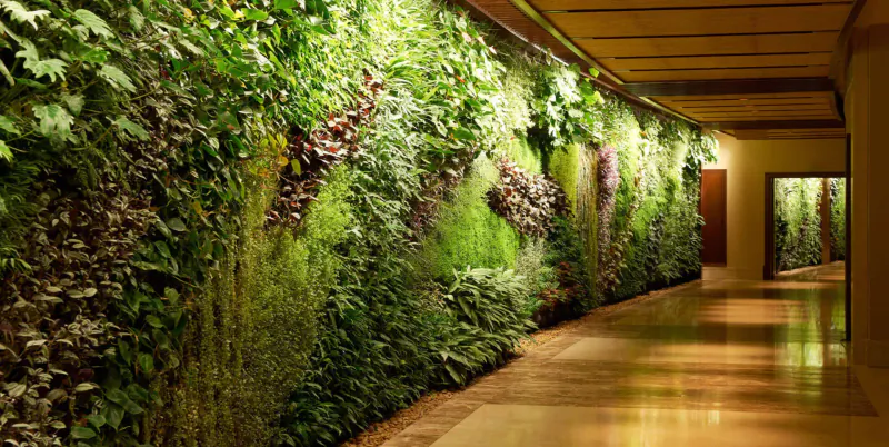 Curved indoor corridor at Sofitel Dubai The Palm with lush green vertical garden wall and warm lighting.