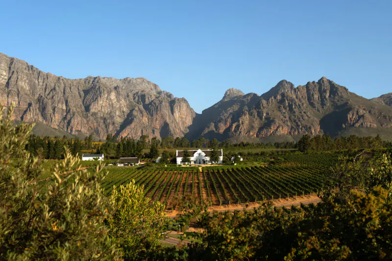 Brookdale Wine Estate in Paarl: white manor house amid vineyards, surrounded by rugged mountains under blue sky.