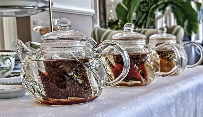 Row of glass teapots with brewing teas on white tablecloth at elegant afternoon tea setting with plants.