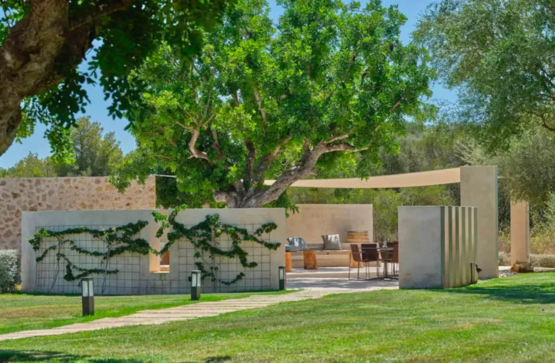 Outdoor lounge at Son Penya Adults Only hotel in Mallorca, with modern beige pergola, olive trees, vines, seating, and lawn path.