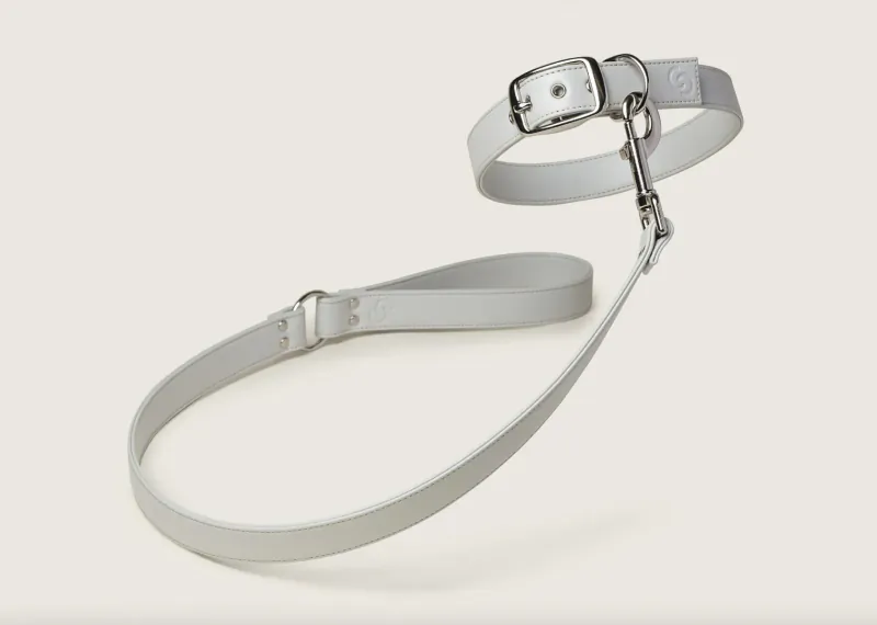 White leather dog collar with silver buckle and matching leash from Skylos Collection