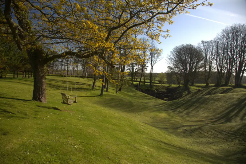 Wooden swing hanging from large yellow tree in lush green park with rolling hills, Gower Wales