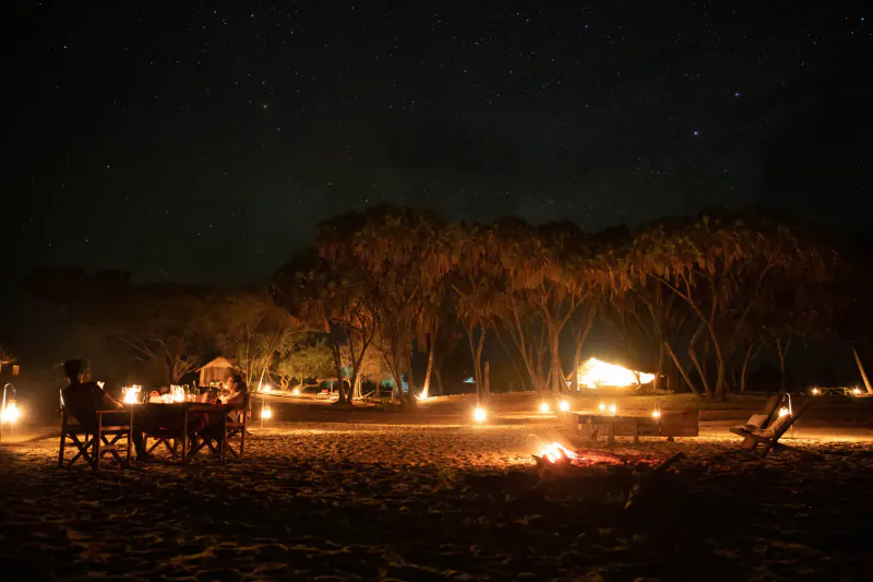 Nighttime safari beach camp under starry sky: people at candlelit table by bonfire, palm trees and tents lit warmly.