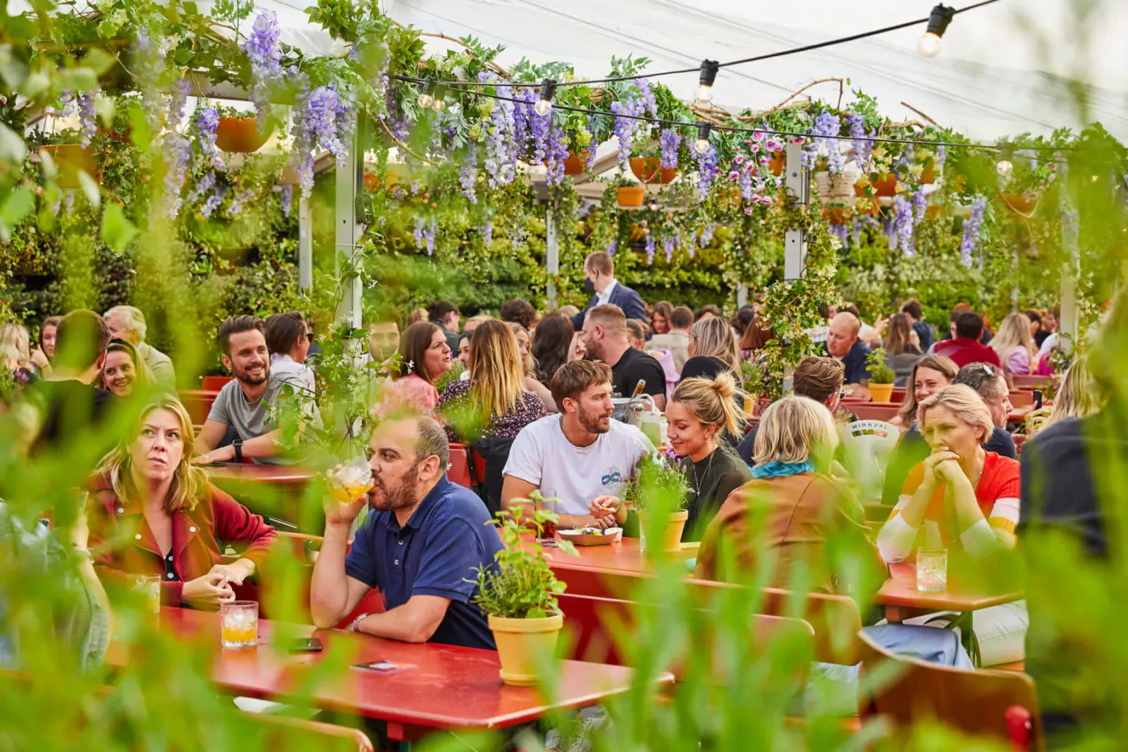 Crowded outdoor beer garden under wisteria and pumpkin garlands, diverse group at red tables with drinks and food