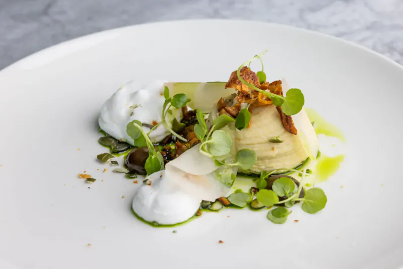 Elegant plated dish of sliced fennel with whipped cream, green herbs, crispy bits, and green sauce on white plate