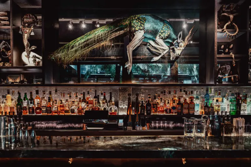 Luxurious bar with rows of colorful liquor bottles and dramatic suspended blue peacock skeleton above the counter.