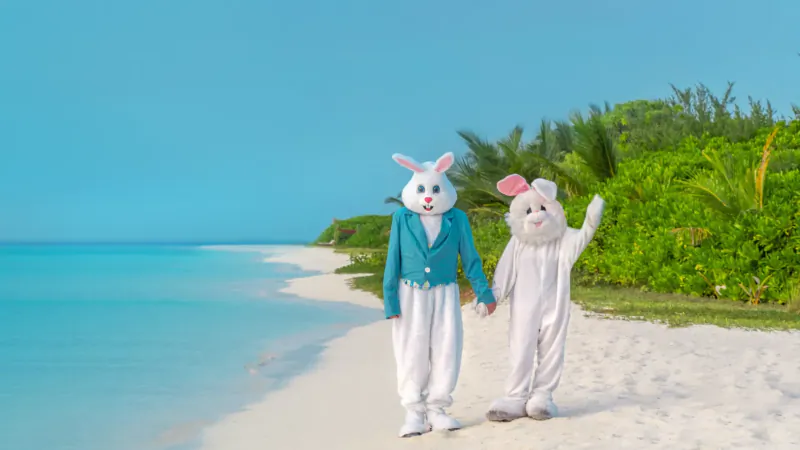 Easter Bunny in suit and white bunny costume hold hands, waving on tropical beach with turquoise sea and palms.