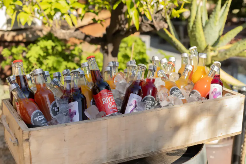 Wooden crate of colorful assorted bottled drinks on ice, with orange trees and succulents in sunny outdoor setting