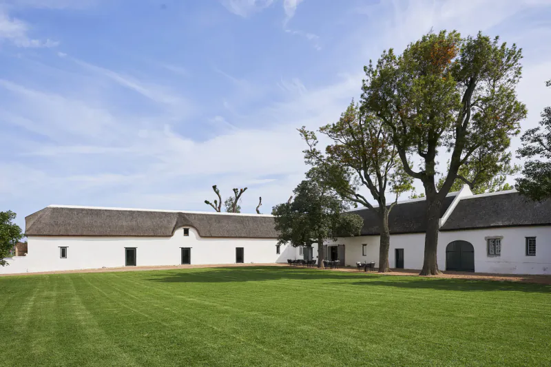 White thatched-roof barns with arched doors on Vergenoegd Löw wine estate, green lawn, trees, blue sky