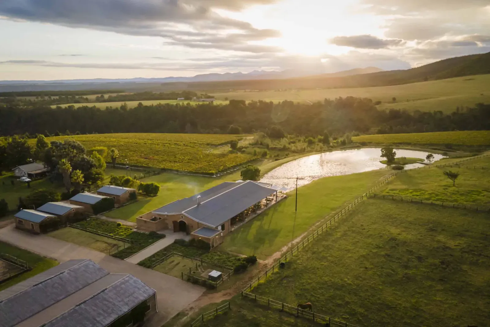 Aerial view of Kay and Monty Vineyard Boutique Wine Estate at sunset, with vineyards, pond, farmhouse, and rolling hills in Plettenberg, South Africa.