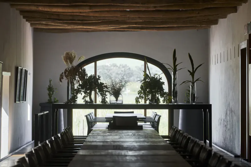 Long wooden dining table with chairs in Clara’s Barn, Vergenoegd Löw wine estate, arched window with garden view and plants