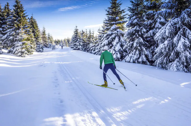 Cross-country skier in green jacket gliding on snowy trail through snow-covered pine forest, Karma Bavaria winter scene.