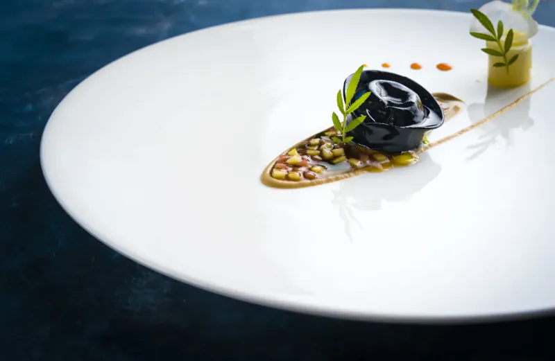 Elegant Michelin-style dessert on white plate: black quenelle, herbs, beans, sauce drizzle