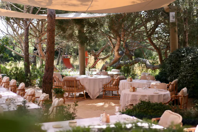 Luxurious outdoor dining area at Gigi Rigolatto beach house in Dubai, with white-clothed tables under beige canopy amid pine trees and greenery.