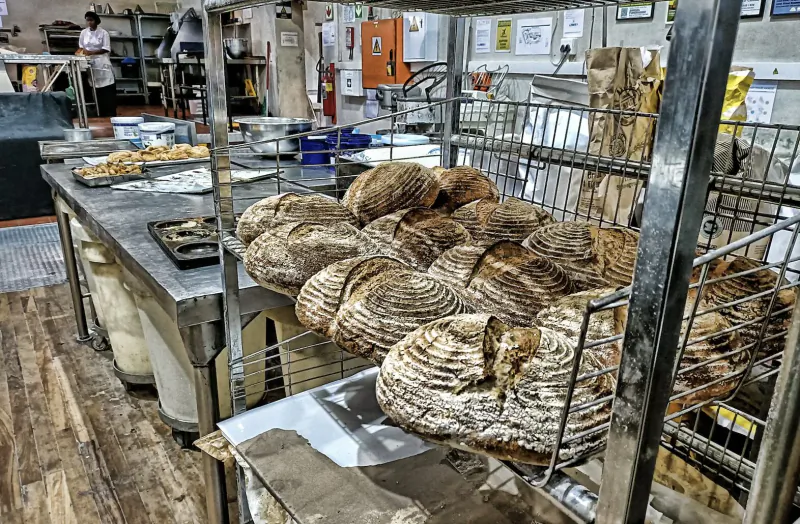 Rustic bakery in Kalk Bay with racks of crusty round loaves on stainless steel counters and bakers in background