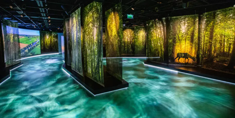 Immersive Boyne Valley gallery with glowing forest screens, glowing wolf, river floor, and landscape projections.
