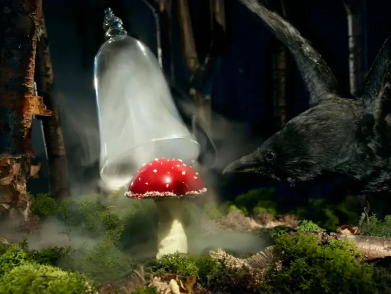 Red fly agaric mushroom inside glass bell jar amid misty forest with dinosaur skull and branches