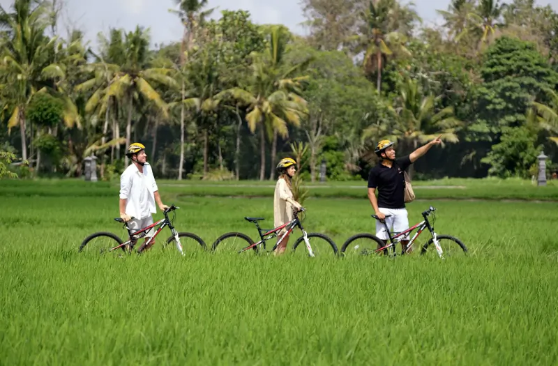 Three cyclists in helmets walking bikes through lush green rice fields in Bali, one man pointing ahead amid palm trees.