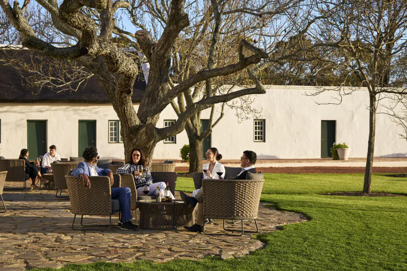 Group of people seated at outdoor table under ancient tree at Vergenoegd Löw Wine Estate, South Africa
