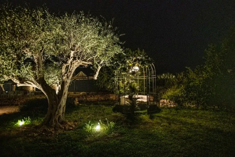 Nighttime garden at Zahir Country House with lit olive tree and ornate birdcage gazebo on lawn