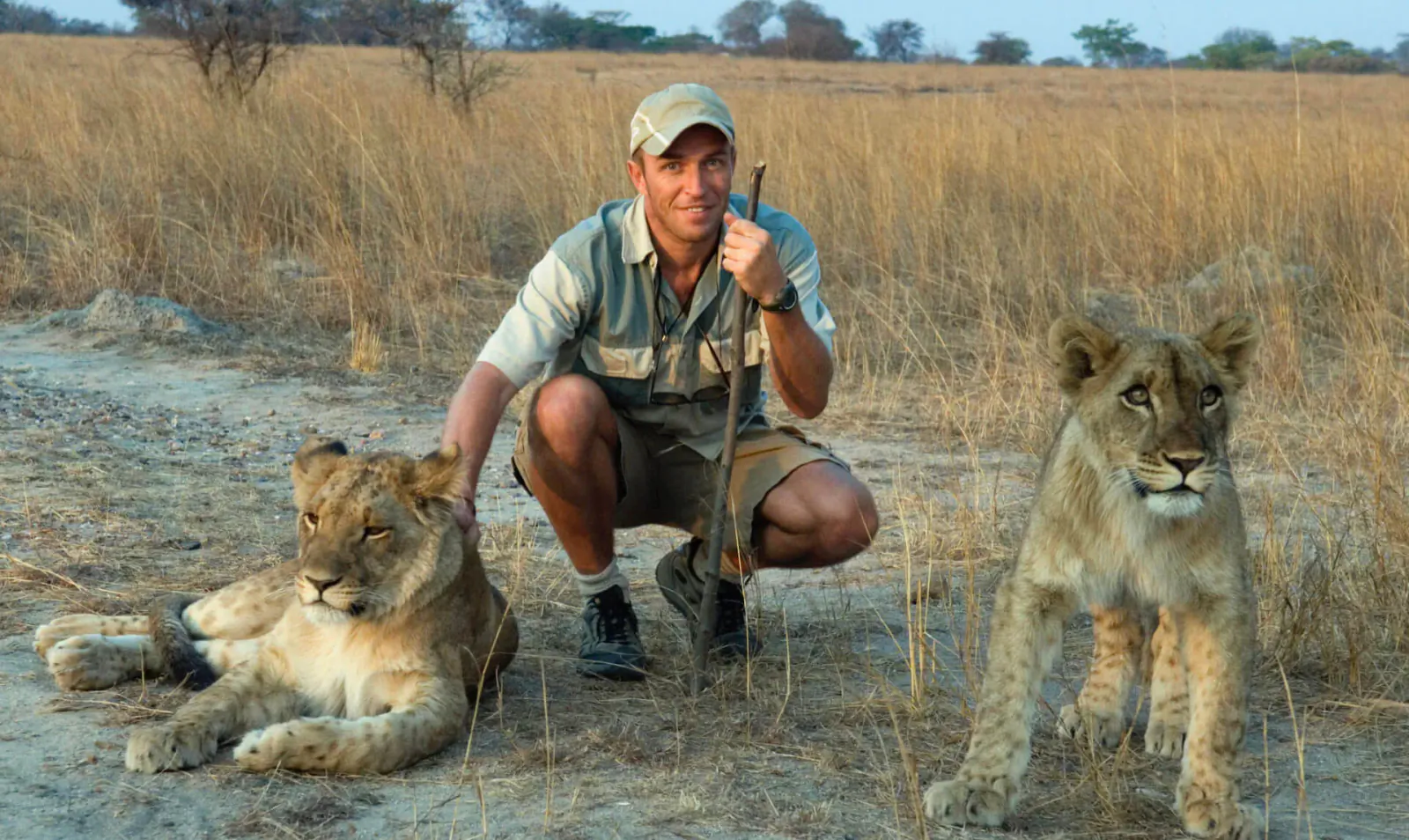 Mark Eveleigh in safari gear kneels with three lion cubs in African savanna grasslands