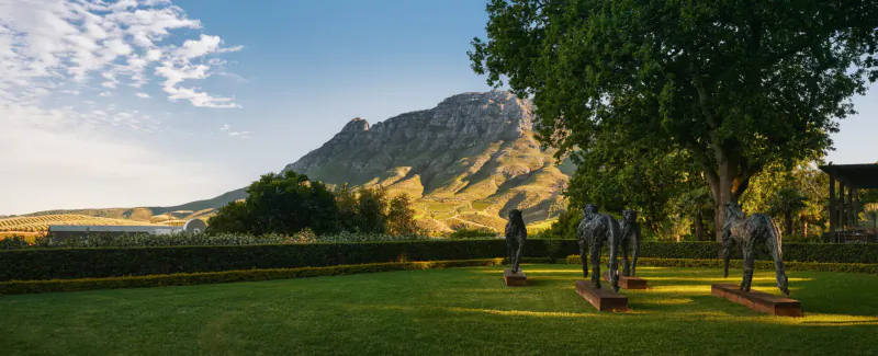 Bronze horse sculptures on lawn at Delaire Graff Estate, with Table Mountain, vineyards, and blue sky in Cape Winelands.