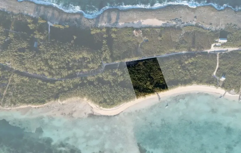 Aerial view of Lot 43 Bottom Harbour Beachfront, Bahamas: black-outlined lush green lot on sandy beach with turquoise ocean, cliffs, and trees.