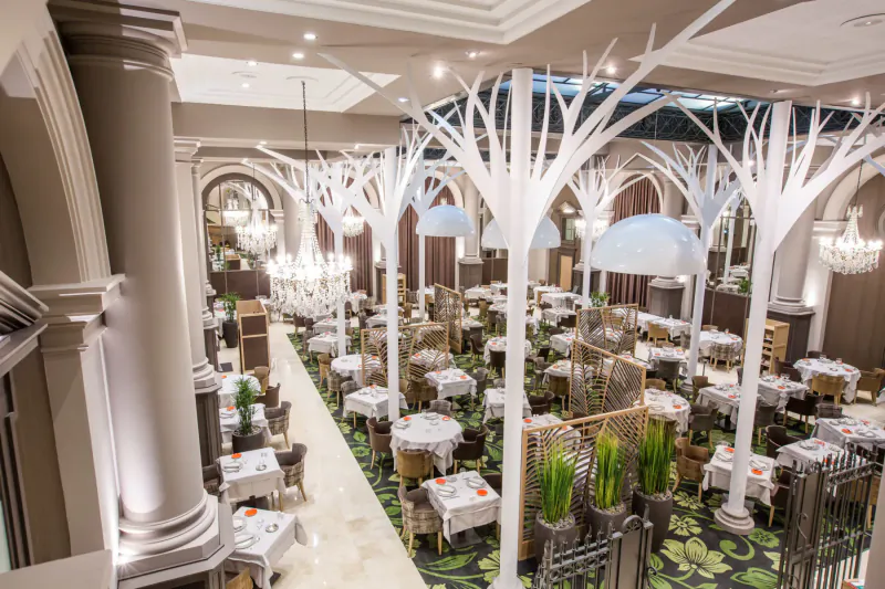 Elegant Saint-Malo restaurant interior with white tree-like columns, chandeliers, and white-clothed tables from above.