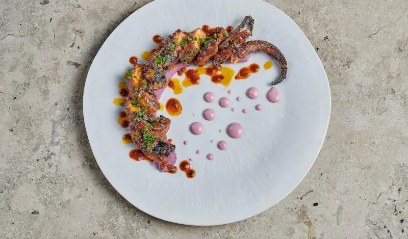 Artfully plated grilled octopus tentacles with orange sauce, herbs, and pink sauce dots on white plate