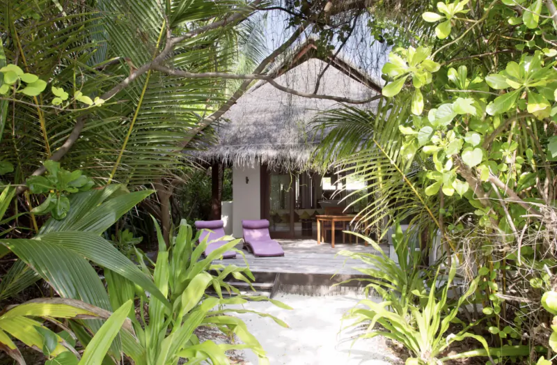 Tropical overwater bungalow at Coco Bodu Hithi resort, framed by lush palms, with purple loungers on deck and sandy path.