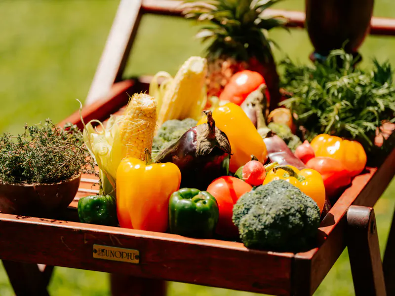 Wooden tray overflowing with fresh vegetables including corn, peppers, tomatoes, broccoli, eggplant, and herbs on grass