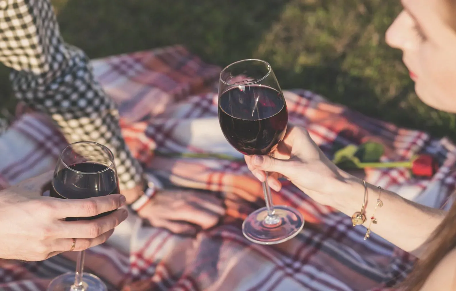 Couple toasting red wine glasses on picnic blanket in grass with roses, luxury escape vibe