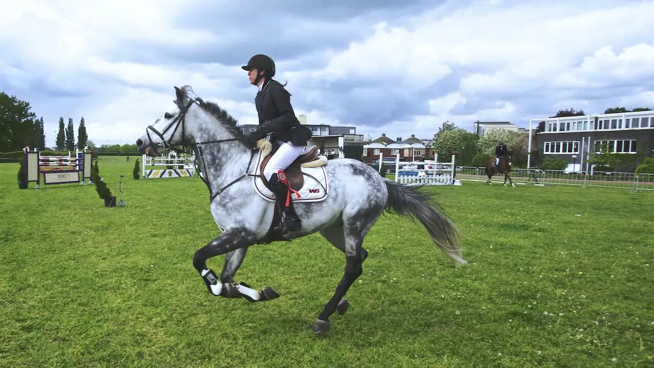 Woman in black jacket and helmet riding grey horse jumping over obstacle at equestrian event on green field under cloudy sky