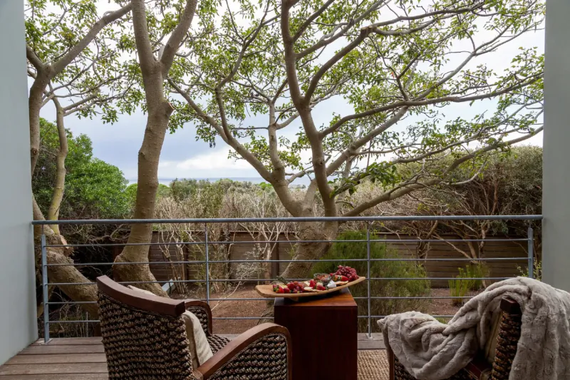 Cozy balcony at Tintswalo Boulders with rattan chairs, berry platter on table, and ocean-view trees.