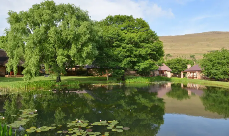Walkersons Hotel & Spa: lily pond reflecting thatched chalets, willow trees, and distant green hills under blue sky.