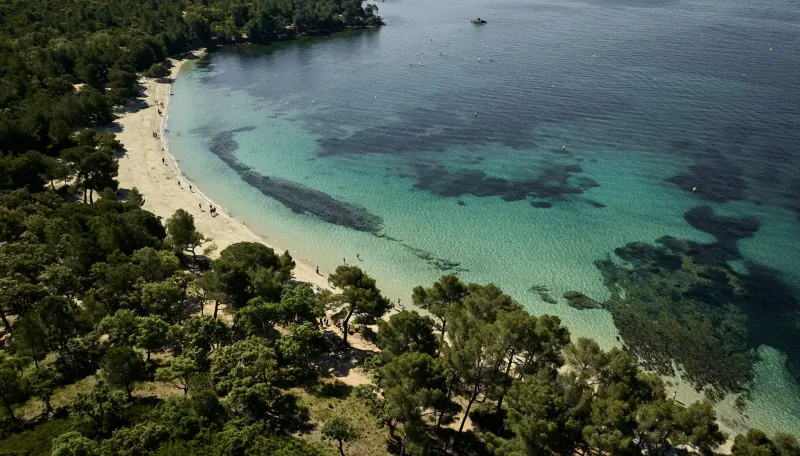 Aerial view of a turquoise bay with sandy beach lined by pine trees in Provence, France