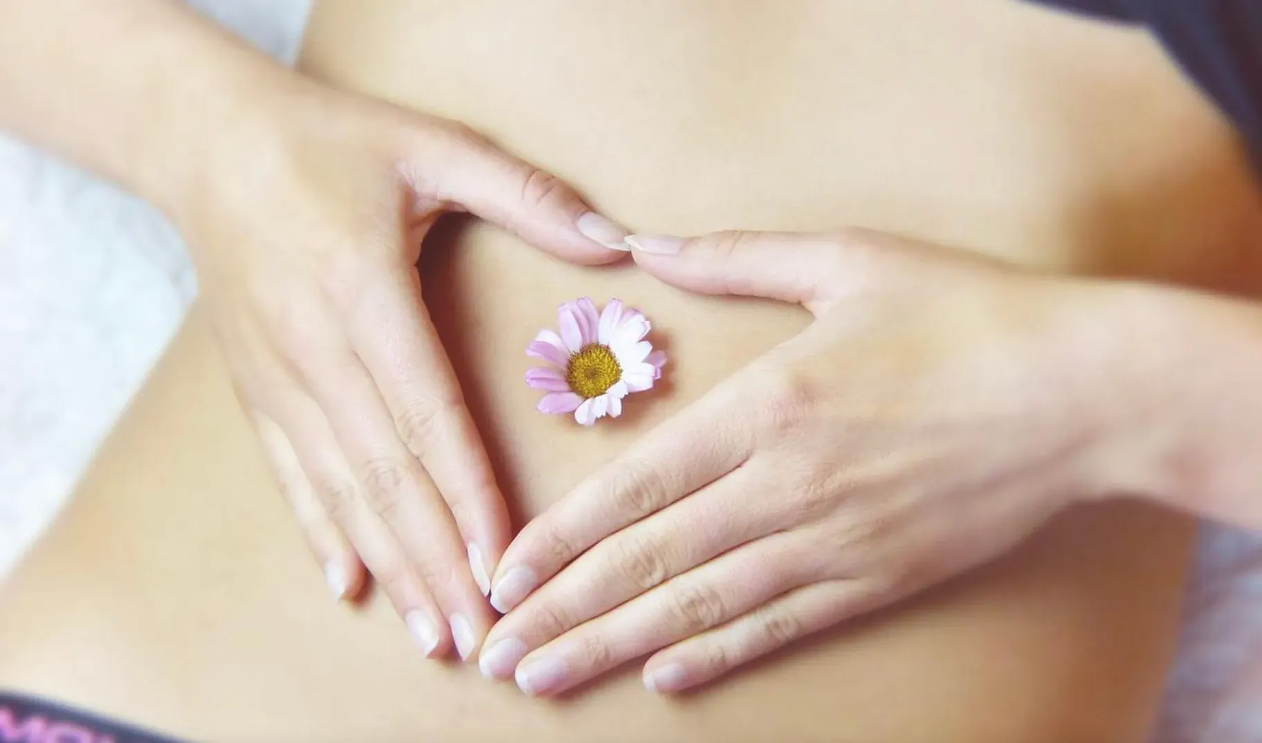 Hands forming heart shape over pregnant belly with pink daisy flower in center