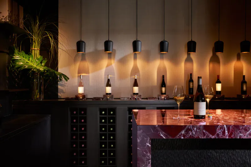 Wine bottles backlit on shelves above red bar counter with pendant lights and green plant at Delaire Graff Estate