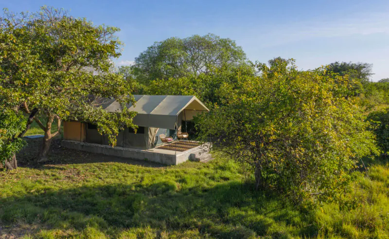 Luxury tented safari lodge on stone platform amid lush green trees and grassland, Bangweulu.