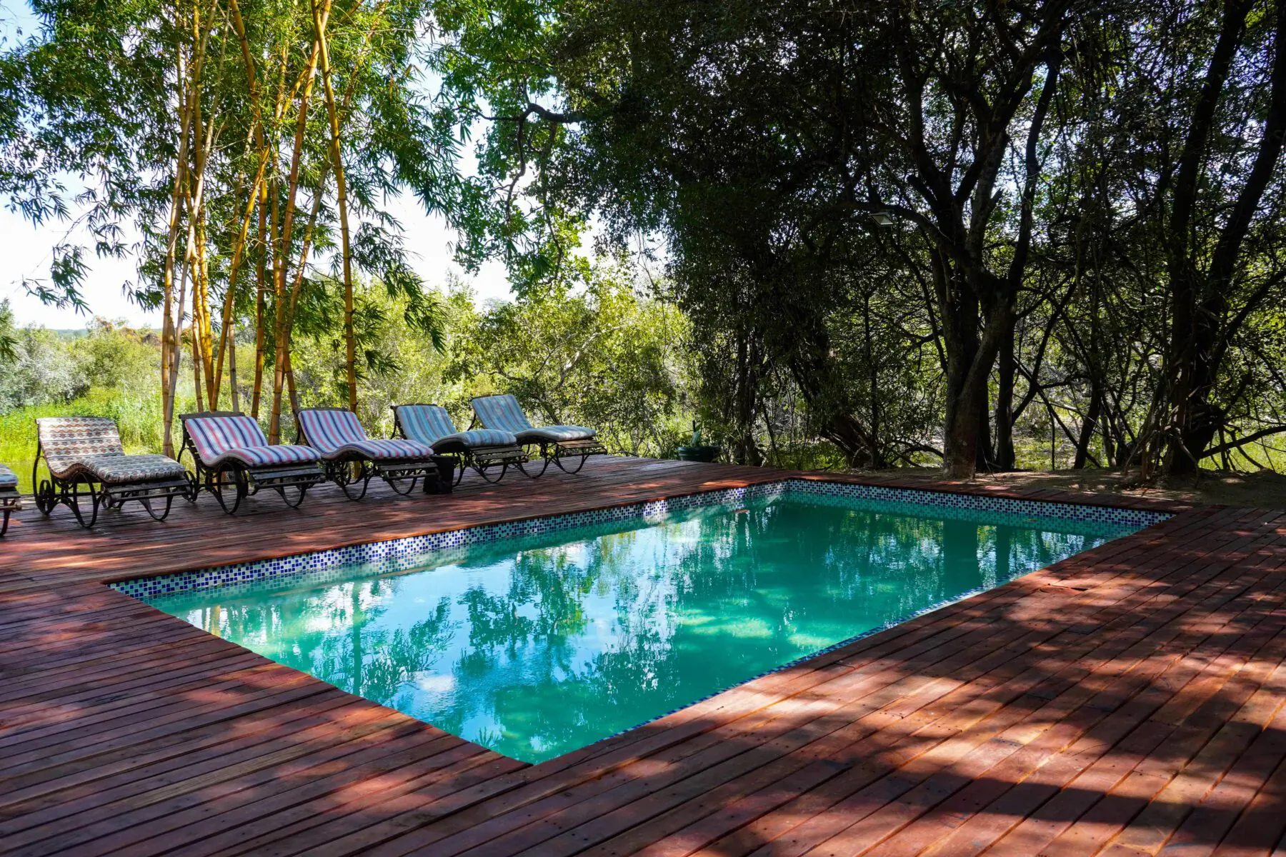 Turquoise pool on wooden deck with lounge chairs, surrounded by lush bamboo and trees at Tintswalo Siankaba, Zambia.