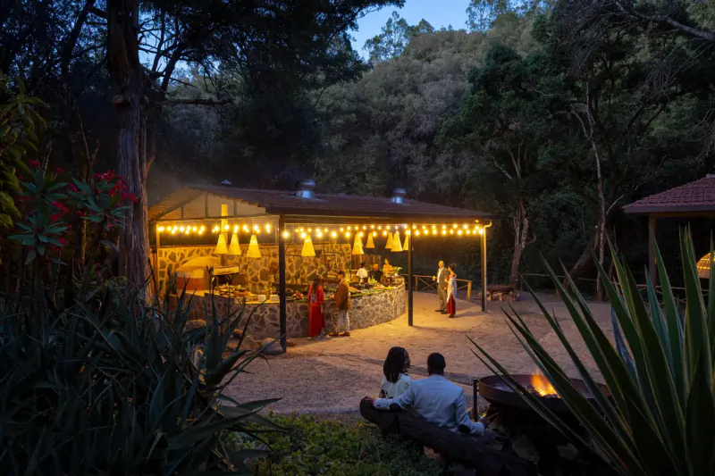Evening safari gathering at Mount Kenya Conservancy: lit pavilion with food, people chatting by fire pit amid lush forest.