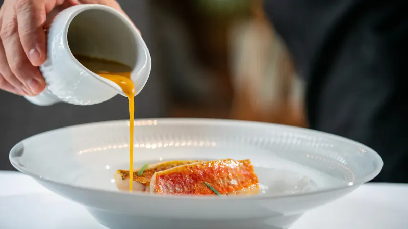 Chef pouring orange sauce from white pitcher over red fish fillet on white plate