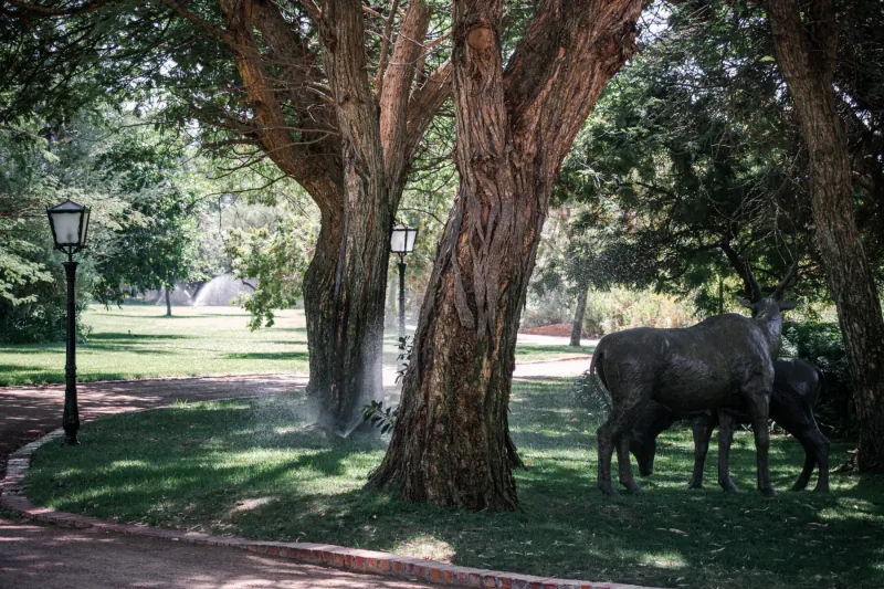 Bronze statue of mother giraffe nuzzling calf amid tall trees, lamps, and misty park path