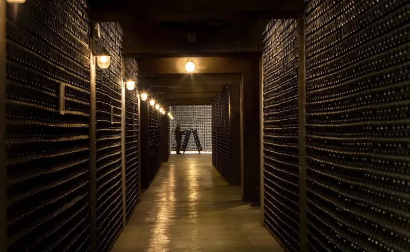 Dimly lit wine cellar aisle with racks of bottles and a silhouetted figure standing ahead.