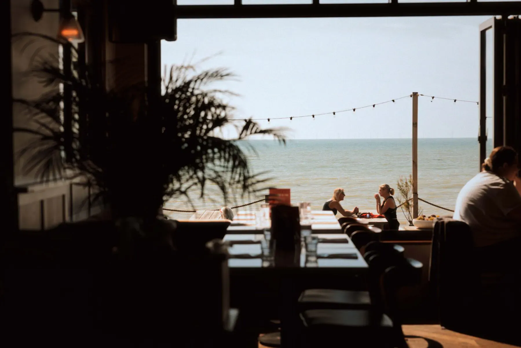 Rockwater Hove seaside cafe with open doors to beach view, potted palms, tables, chairs, and patrons