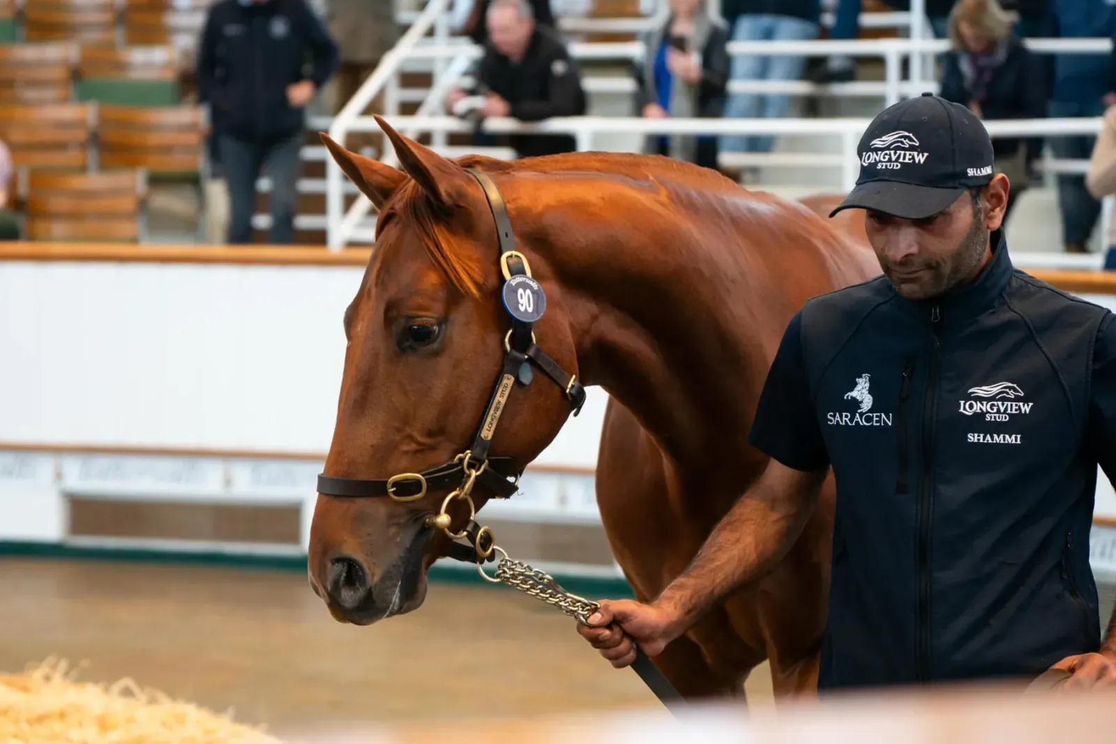 Handler in Magic Millions jacket leads a chestnut horse by lead rope in Tattersalls sales ring with spectators.