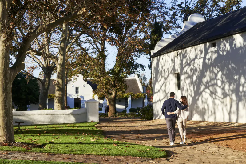 Couple walks hand-in-hand on path at Vergenoegd Löw Estate, surrounded by white Cape Dutch buildings and autumn trees in Stellenbosch.