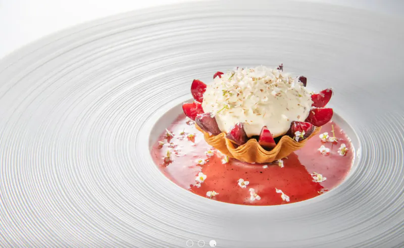 Strawberry cream dessert in pastry shell on raspberry coulis, centered on white plate